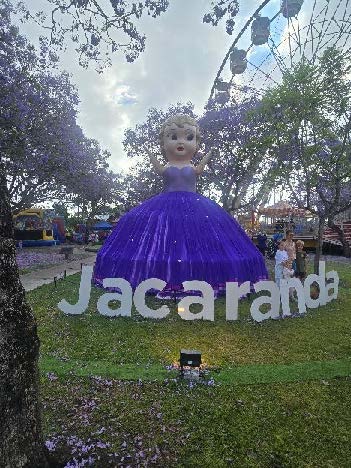 Jacaranda Outing – November 2025