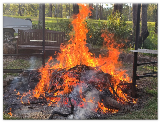 Ramornie Bush Camp Outing – September 2025